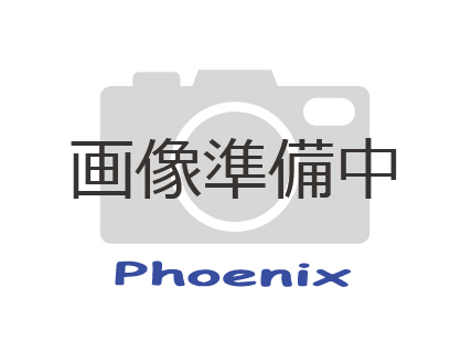 ヴィンセント【取寄品】